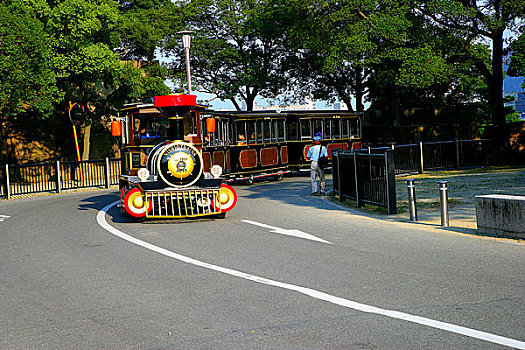 bạch thủ ngày hôm nay
