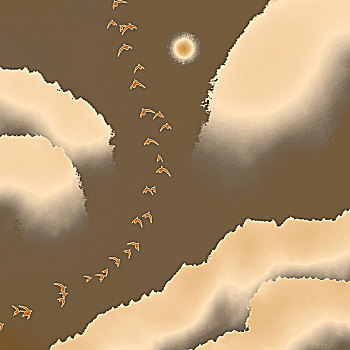 xs vĩnh long