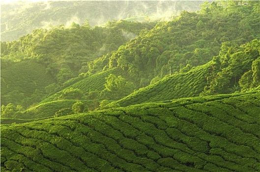 xổ số ngày hôm qua