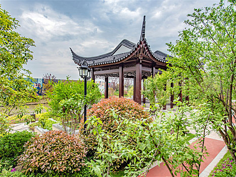 soi cau rong bạch kim