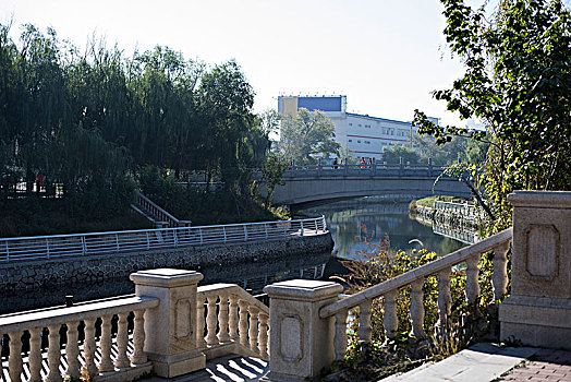 lo de rong vang bach kim