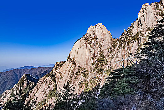 bạch thủ lô ngày mai