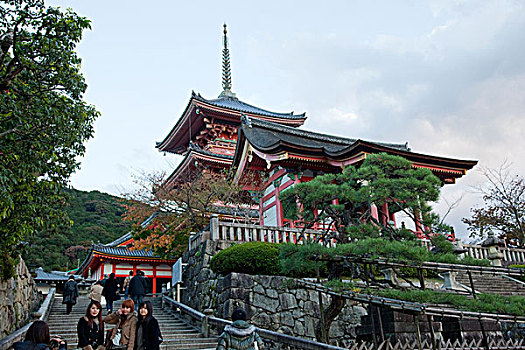 cầu bạch thủ hôm nay