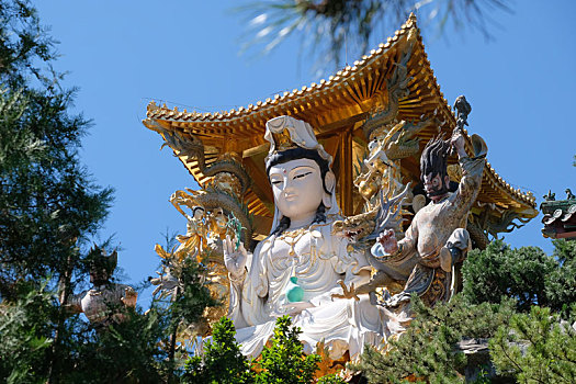 soi cầu bạch thủ lô kép