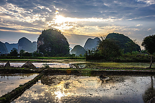 thống kê bach thủ