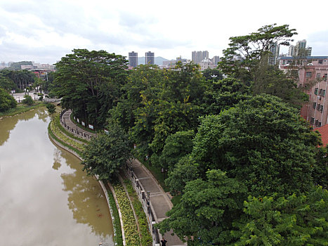soi cau 247