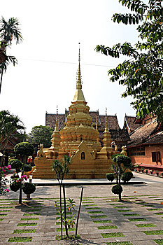 soi cau atrungroi