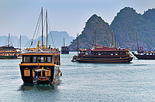 soi cau mien phi hom nay