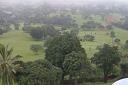 soi cau bach thu de