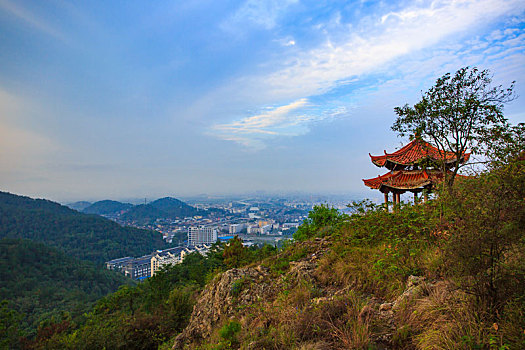 lô bạch thủ miễn phí