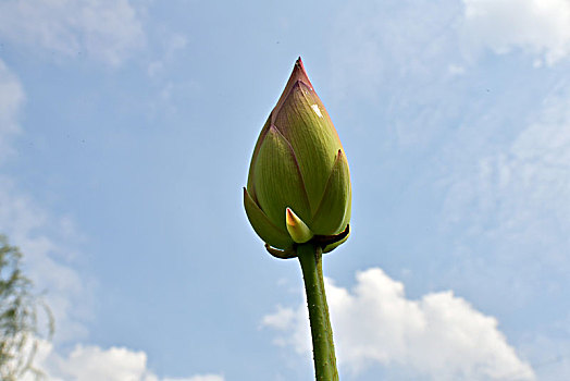 dàn đề ăn 3 ngày tới