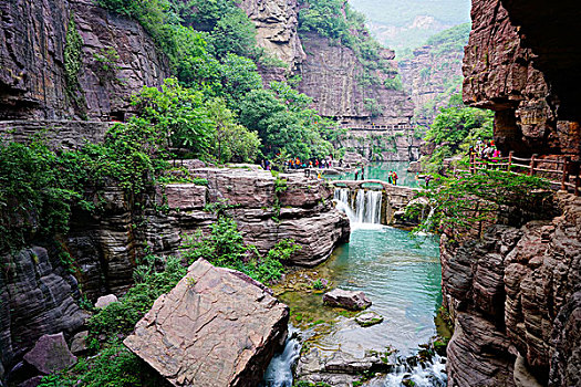 soi cau bach thu sieu chuan