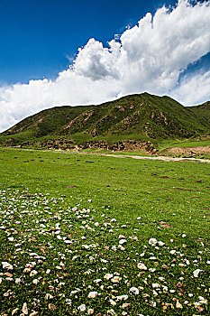 lô rơi miền bắc