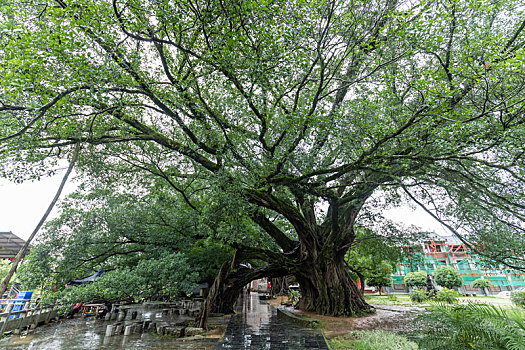 xsmn thứ 6