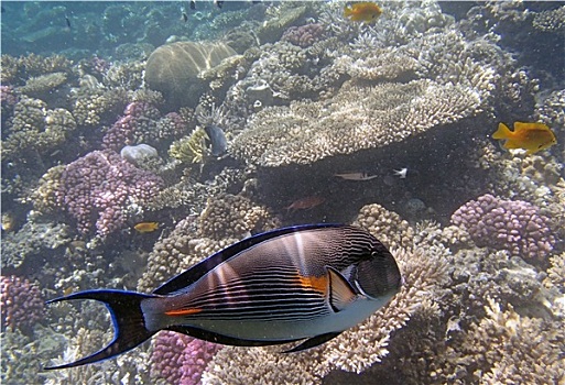 du doan xs 3 miền