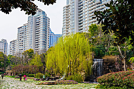 soi cau bach thu 8888