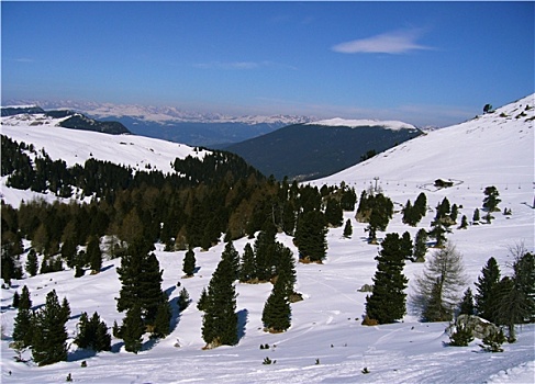 lo bach thu khung 3