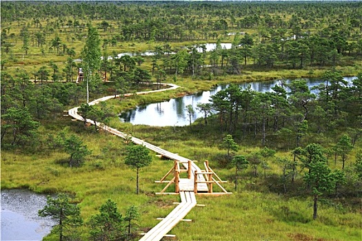 số vũng tàu