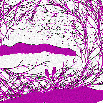 xs 3 đài