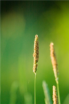 dự đoán lô đề