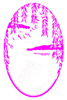 rong bach kim wap