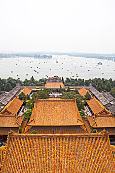 soi cầu bạch thủ lô