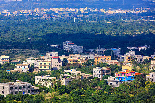 soi cau binh dinh vina24h
