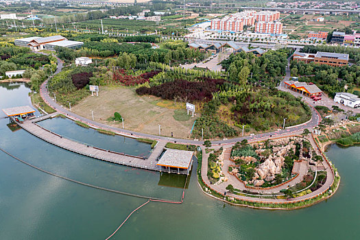 soi câu bach thu xsmb