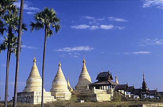 tỷ lệ ăn 3 càng