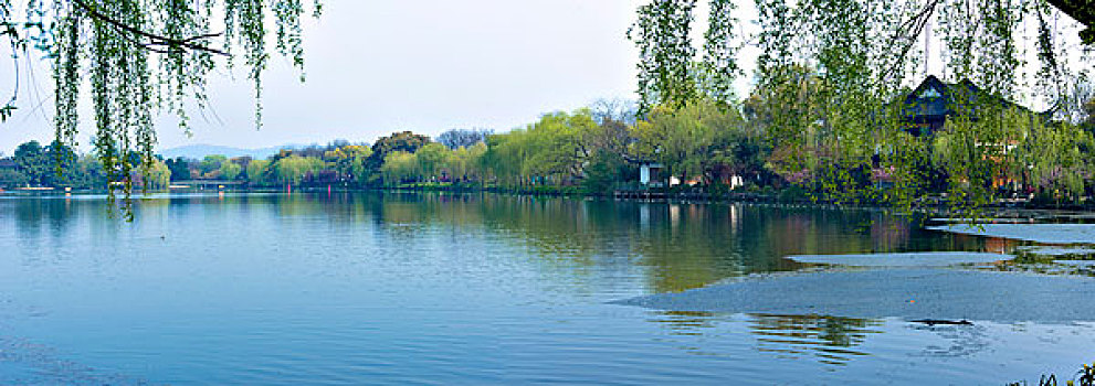 soi cau de bach thu mien bac hom nay