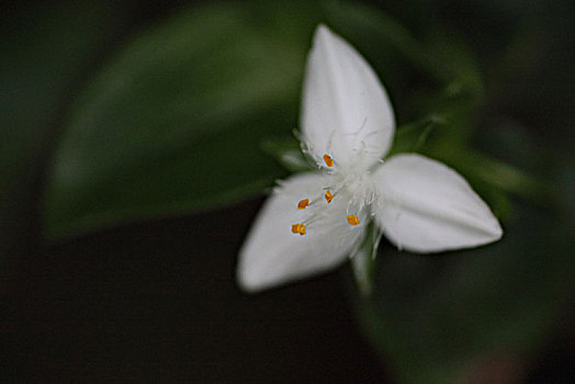 soi cầu chuẩn xsmb
