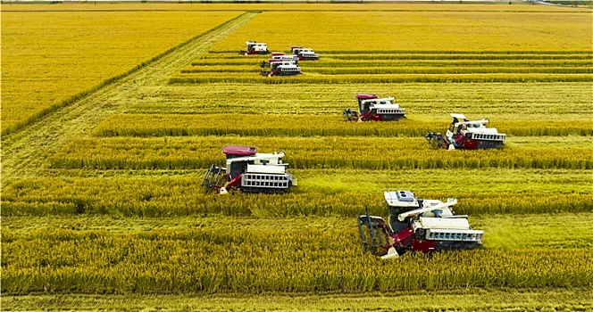 thống kê giải đặc biệt