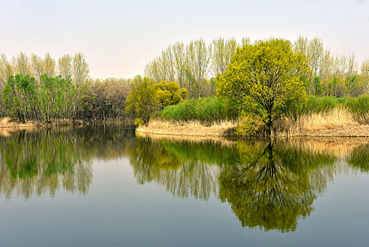 xổ số kiên giang ba đài