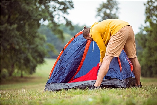 xổ số dự đoán