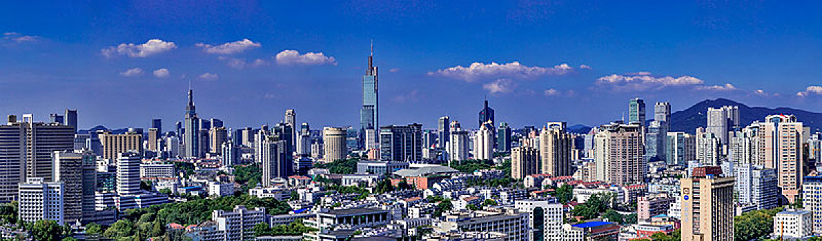 soi cầu rong bạch kim