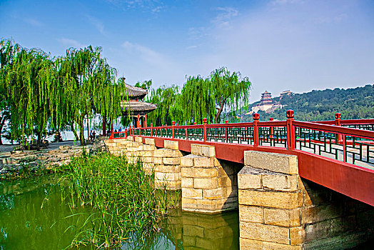 lô bạch kim