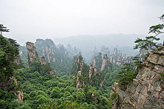 dự đoán số hôm nay