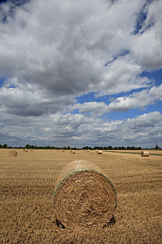 lode799