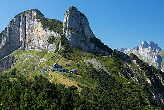 rong bach kim hai nhay