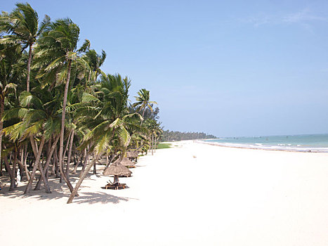 cau lo bach thu khung 5 ngay