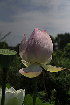xsmn minh ngoc net
