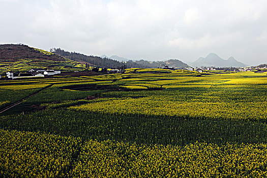 xổ số kiên giang tuần trước