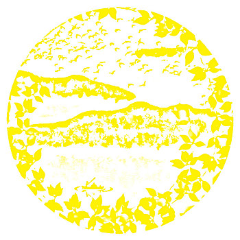 xsmn 26 4