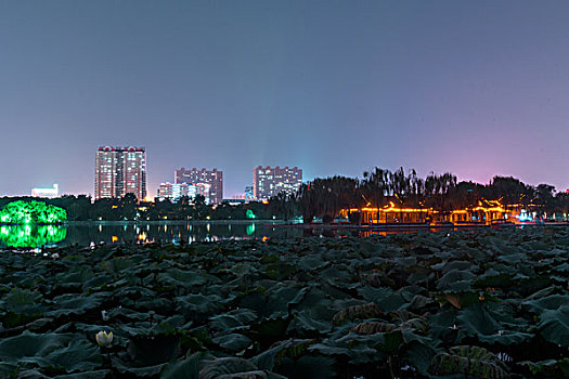 kết quả xsmb 100 ngày