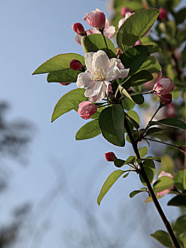 soi lô miễn phí