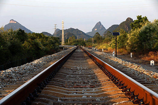 soi câu rong bach kim