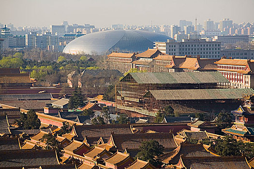 soi câu miễn phí