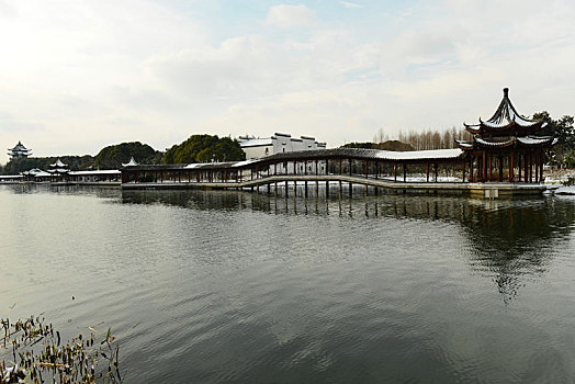 soi cau vang 6789