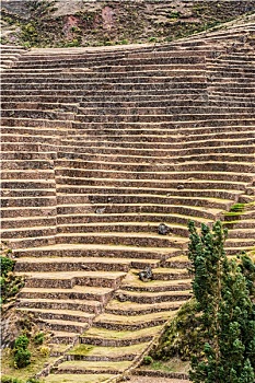 soi cau lo de binh dinh 568