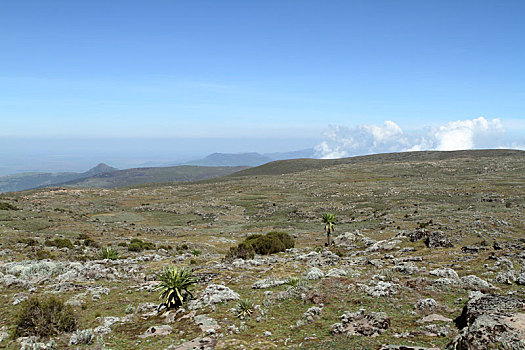 lô đề ngày mai